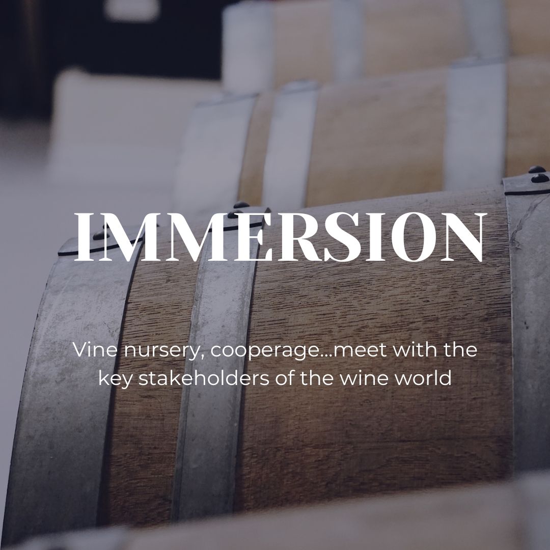 immersion wine stays